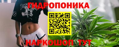 дмт Белореченск