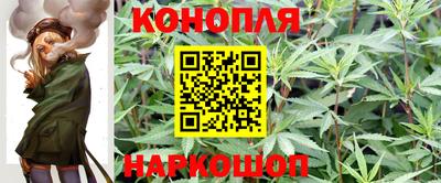метадон Бердск