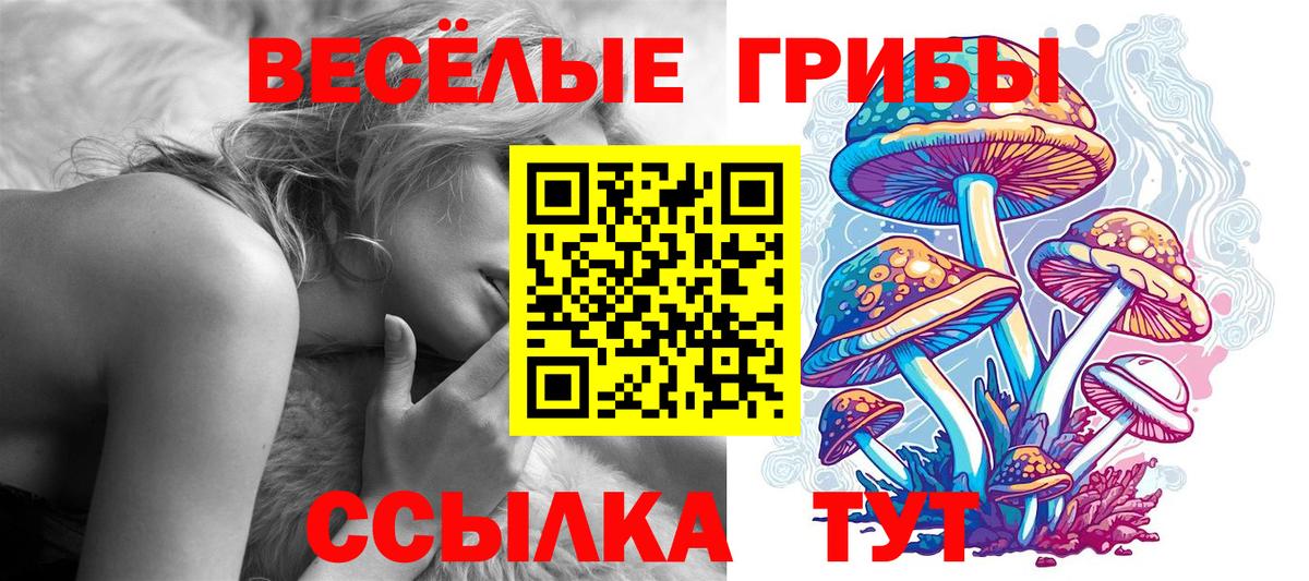 Галлюциногенные грибы Cubensis Белореченск