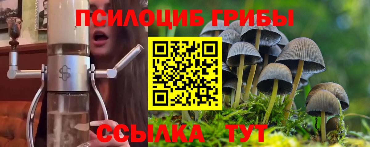 Белореченск  Галлюциногенные грибы Psilocybine cubensis  Псилоцибиновые грибы ЛСД  купить наркоту  Вход с VPN 